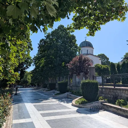 Mimi -green Hill 소코 반자