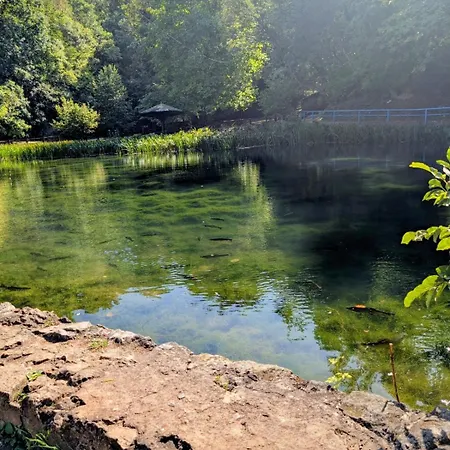 Апартаменты Mimi -green Hill Сокобаня